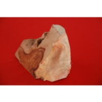 Sampel Kayu Kemuning.pdf