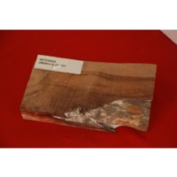 Sampel Kayu Ketengga.pdf