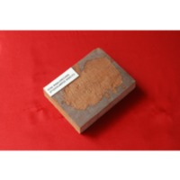 Sampel Kayu Angsana.pdf